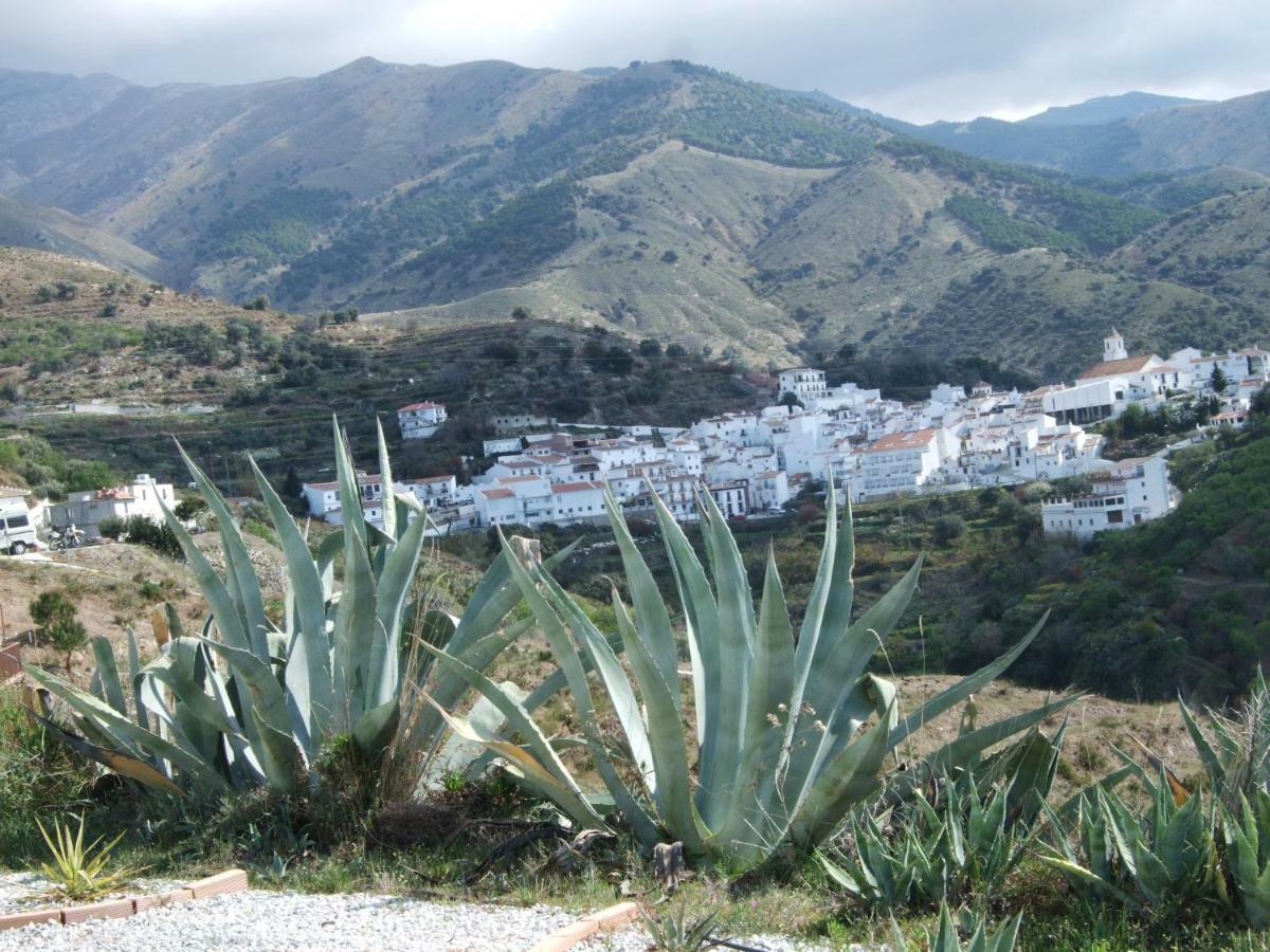Casa Siete Arcos Βίλα Sedella Εξωτερικό φωτογραφία